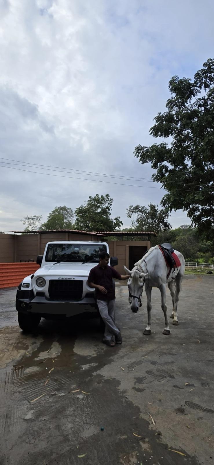 Horse and support jeep at the stables