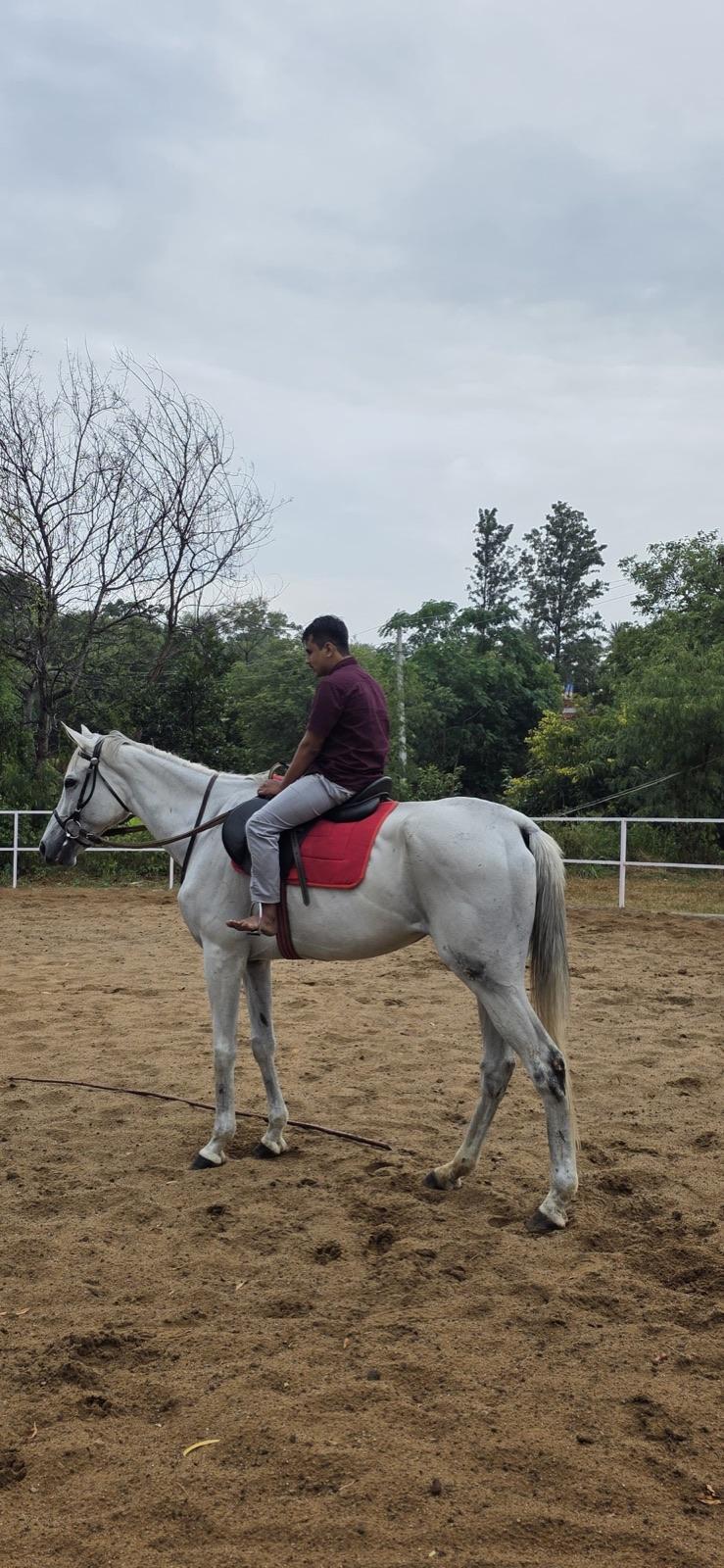 Guest on a morning ride with one of our horses