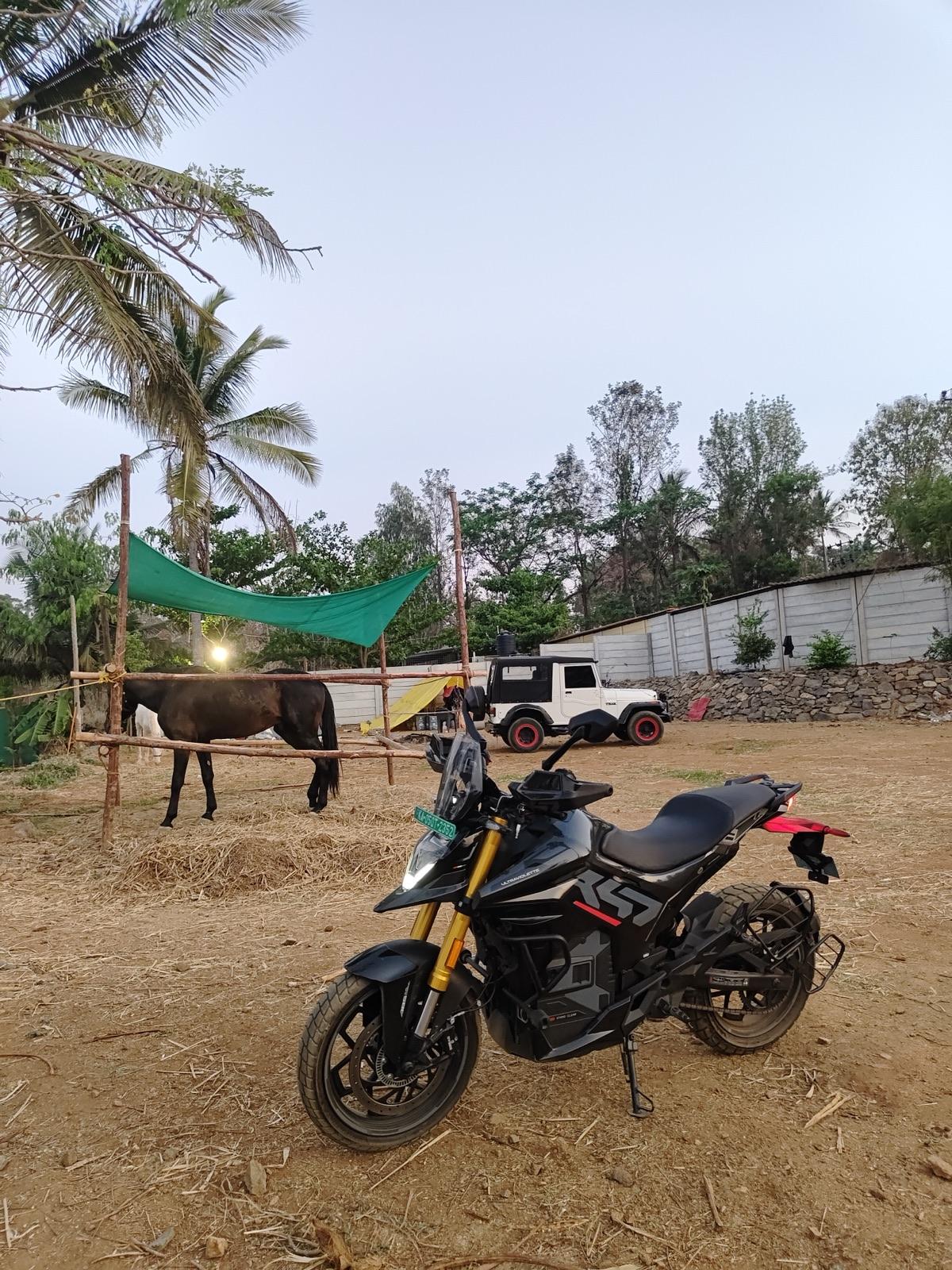 Evening at the stables