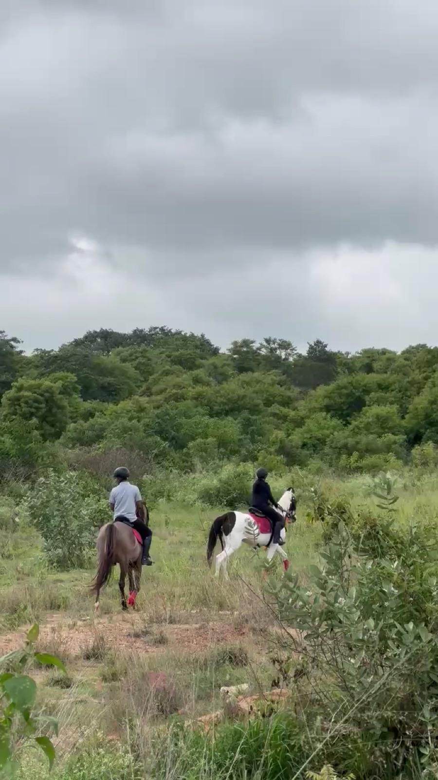 Two riders on the countryside trail